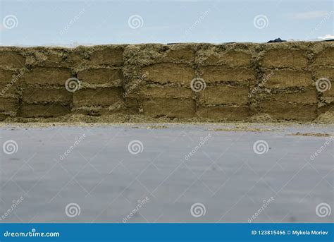 Storage Silos in a Trench Silo. Farmin and Agricultural. Stock Photo ...