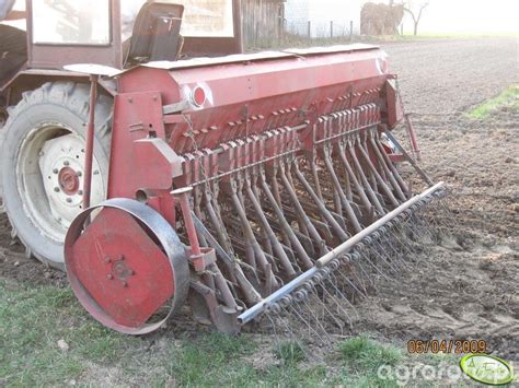 Poznaniak Fotka Polskiego Siewnika 129265 Galeria Rolnicza Agrofoto