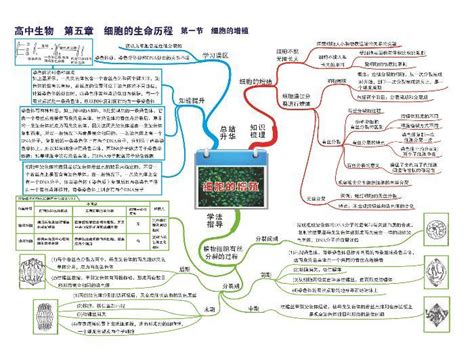 高中生物思维导图 第五章 细胞的生命历程 教习网课件下载