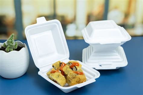 Disposable Partition Food Containers Food Container Supplier Ps Foam