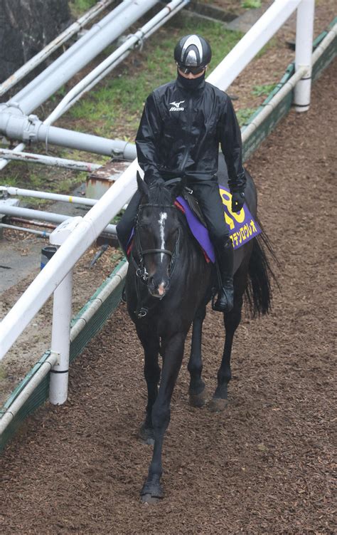 【天皇賞・春】昨年5着マテンロウレオ、6度目のg1挑戦で戴冠狙う 昆師「力出し切れれば」 競馬写真ニュース 日刊スポーツ