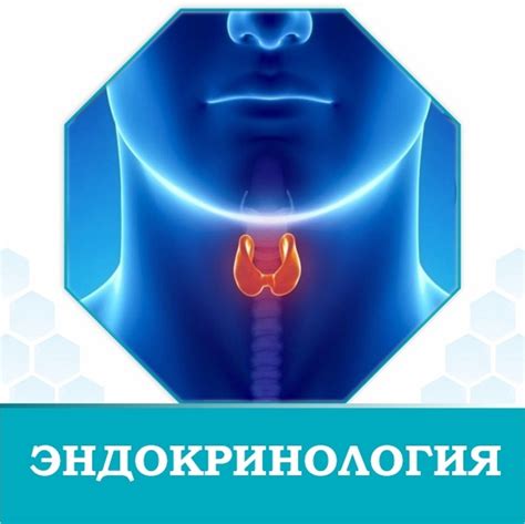 Щитовидная железа - МУ "Поликлиника ФНПР"
