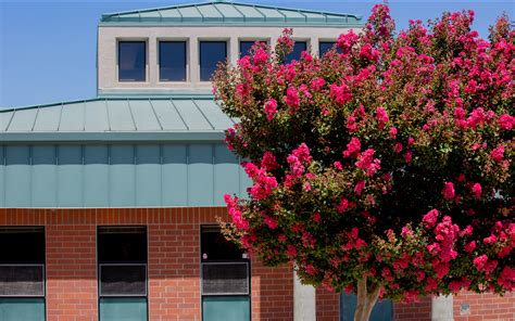 Wicklund Elementary School (Lammersville Unified School District), Mountain House, California ...