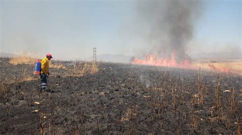 Protecci N Civil Iguala Atiende Y Sofoca Incendios De Pastizales