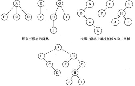 【数据结构】图解 树，森林与二叉树的转换已知一颗二叉树如下图所示将此二叉树转换为森林 Csdn博客