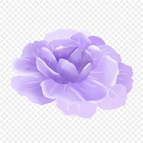 Cartoon Lavender Png Image Lavender Cartoon Flowers Cartoon Clip Art