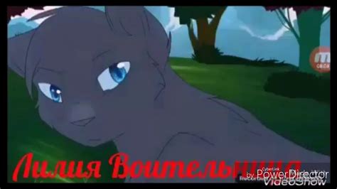 Синяя звезда и желудь - YouTube