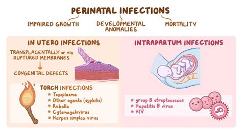 Clinical Reasoning Perinatal Infections Osmosis