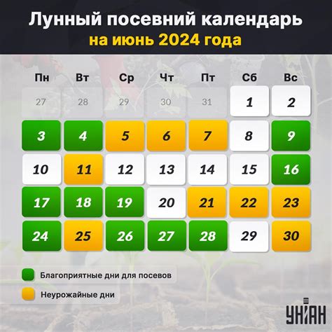 Лунный посевной календарь на июнь 2024 года — УНИАН