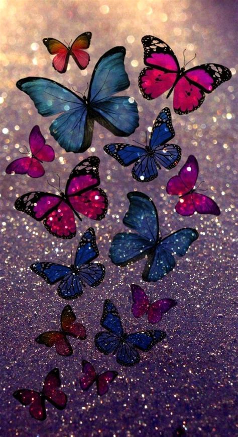 Download Multicolor Butterflies Wallpaper | Wallpapers.com