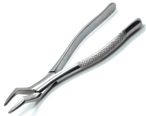 Right Extraction Forceps Maxillary Forceps Prodentusa Off