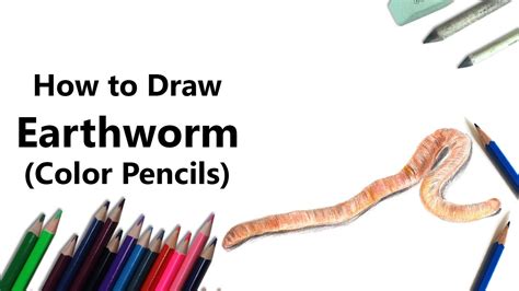 How To Draw An Earthworm With Color Pencils Time Lapse Youtube