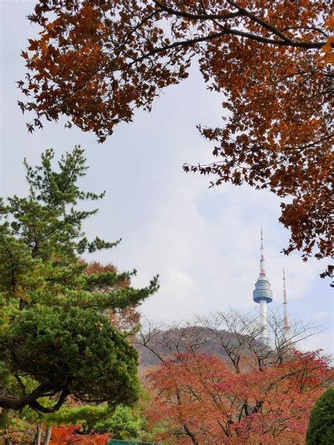 서울특별시교육청 남산도서관 용산구 아이와 가볼만한곳