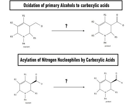 Random Example Oxidation Of Primary Alcohol To Carboxylic Acid