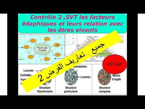 Les définitions du contrôle 2 SVT Tronc commun science biof نقطة