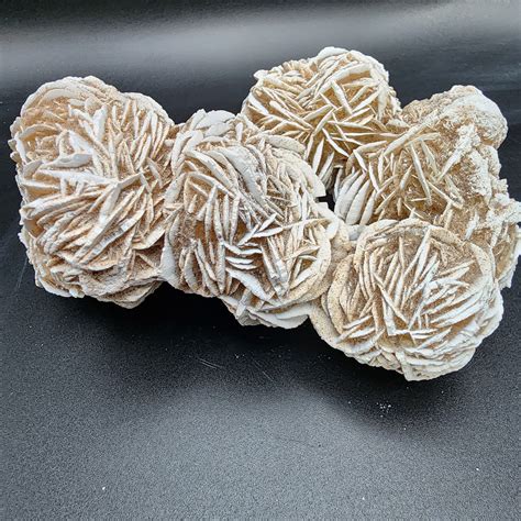 Delightful Desert Rose – Red Stone Fossils