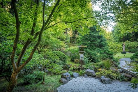 Premium Photo | Landscape of japanese garden