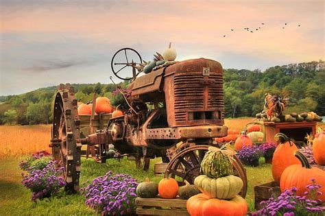 Autumn Harvest Background