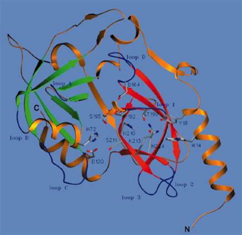 The Structure Of Staphylococcus Aureus Epidermolytic Toxin A An Atypic