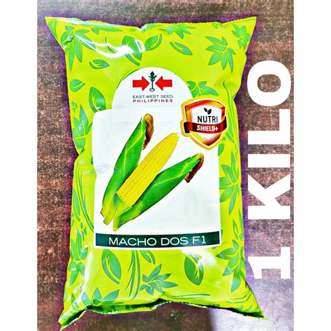 Macho Dos F1 Hybrid Sweet Corn Seeds 1 Kilo By East West Seed