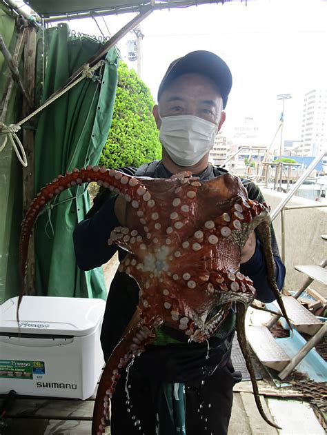 【釣果速報】兵庫県釣り船 名田屋のマダコ船は8月も好調！今なら数釣りとキロオーバーの大型狙いどちらもok！｜釣りまとめアンテナ