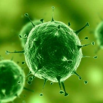 Дезинфицирующие средства для рук