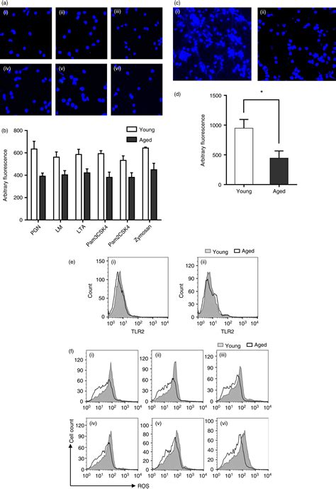 Agingrelated Atg Defect Impairs Neutrophil Extracellular Traps