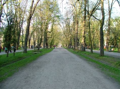 Cluj Napoca Central Park - Alchetron, the free social encyclopedia