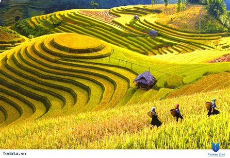 Hình Ảnh Thung Lũng Mường Hoa Sapa