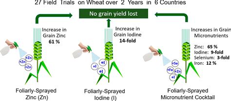 Simultaneous Biofortification Of Wheat With Zinc Iodine Selenium And