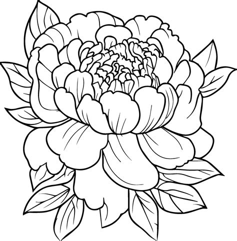 Carnation Tattoo Outline