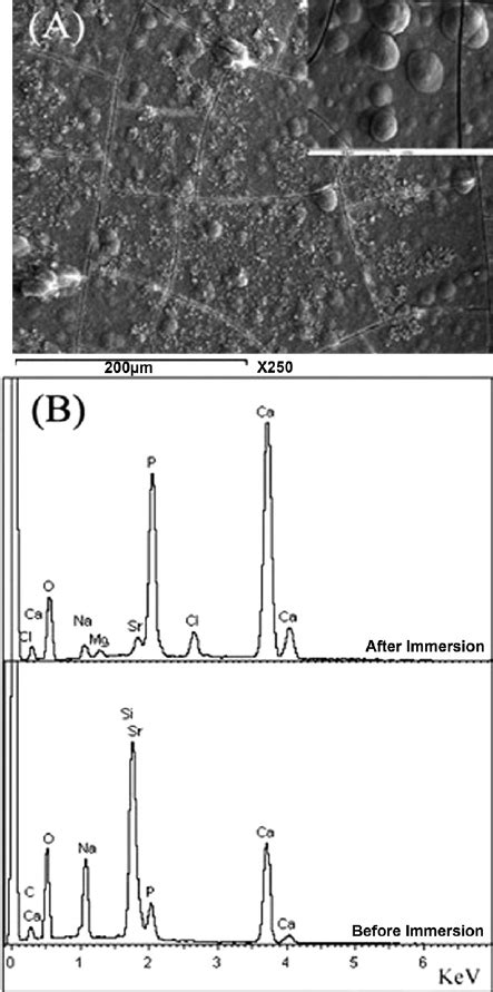 A Sem Micrograph Of The Glass Ceramic Surface Of Specimen G 3 After Download Scientific Diagram