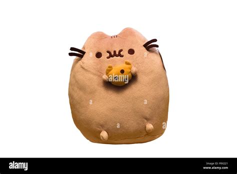 Cut Out. Very Fat Pusheen Cat Plush Toy Stuffed Animal eating a ...