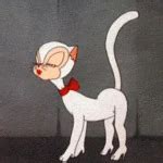 Jennifer Noxt Vintage Pornstar Porn XHamster