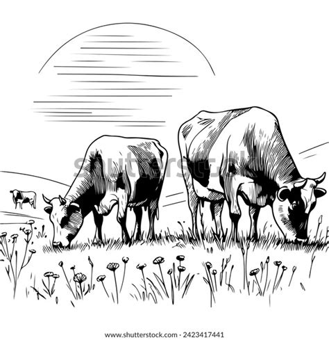 2 922 Cow Eating Grass Stock Vectors And Vector Art Shutterstock