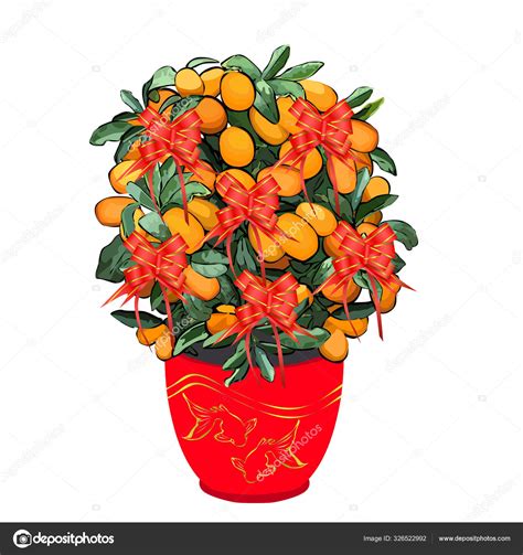 Mandarin Tree For Chinese New Year ⬇ Vector Image By ©