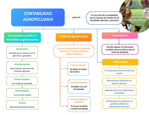 Mapa Mental Agropecuaria