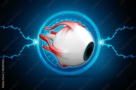 Human Eye Dissection Anatomy Stock Illustration | Adobe Stock