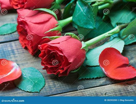 Valentine S Day Red Roses Stock Photo Image Of Dark 28293200