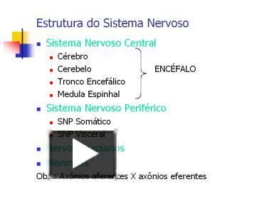 Ppt Estrutura Do Sistema Nervoso Powerpoint Presentation Free To