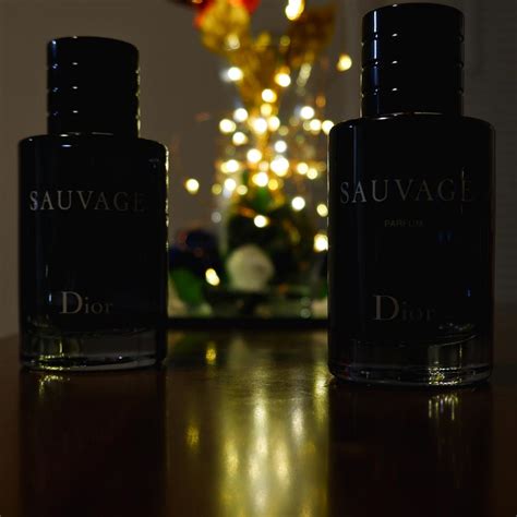 Sauvage Parfum Dior Kolonjska voda - parfem za muškarce 2019