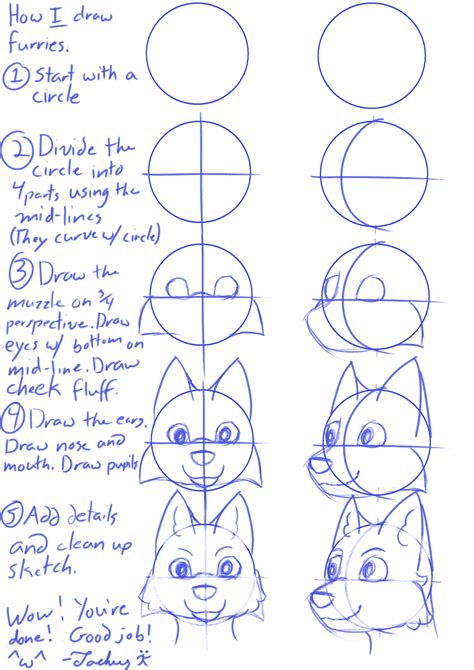 How I draw furries, in case anyone wants/needs it : r/furry