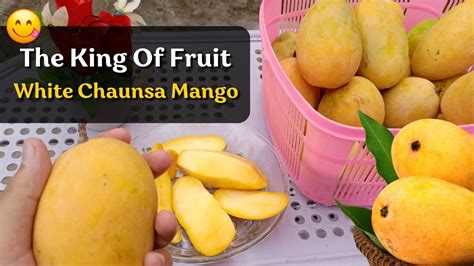 The King Of Fruit White Chaunsa Mango YouTube