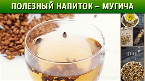 ПОЛЕЗНЫЙ НАПИТОК || МУГИЧА! - YouTube