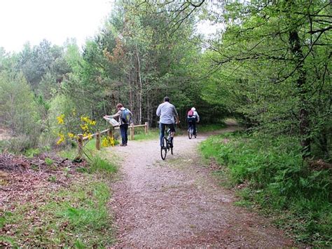 sentier de lobservatoire du ravoir parcours marche ouzouer sur