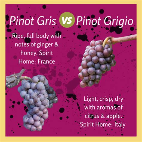 Pinot Gris vs Pinot Grigio - What’s the Difference? - Palate Club