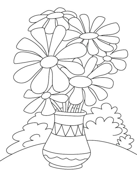 Parts Of A Plant Coloring Page At Free Printable