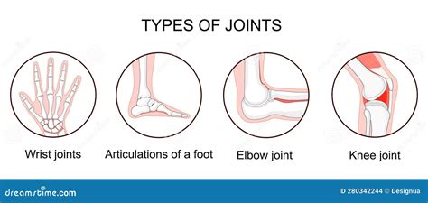 Types of joints stock vector. Illustration of types - 280342244 