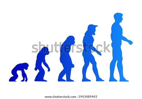 Theory Evolution Man Silhouette Vector Illustration Stock Vector