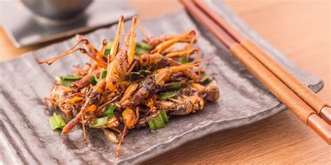 Insects producers calling for EU food hygiene standards